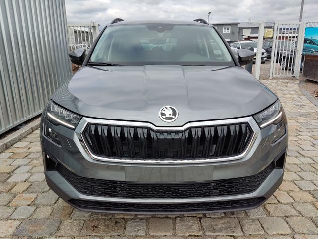 Skoda / Karoq / Grau / / / , Beispielbilder