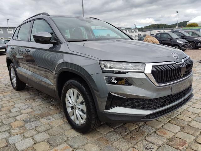 Skoda / Karoq / Grau / / / , Beispielbilder