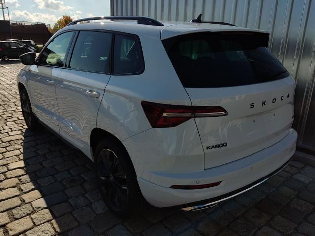 Skoda / Karoq / Weiß / / / , Beispielbilder, ggf. teilweise mit Sonderausstattung