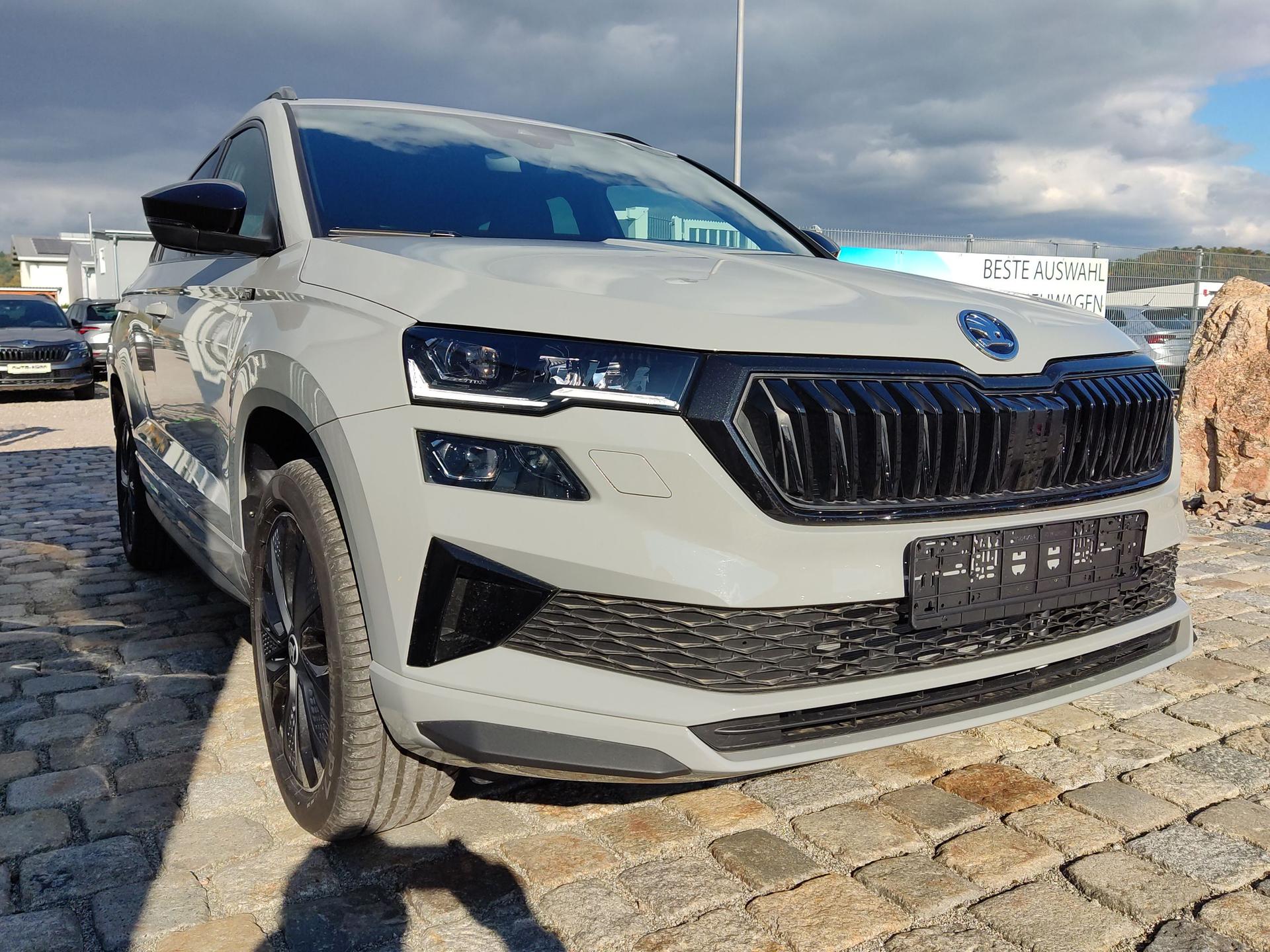 Skoda / Karoq / Grau /  /  / 
