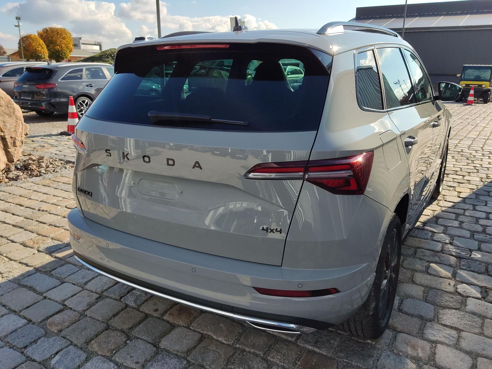 Skoda / Karoq / Grau /  /  / 