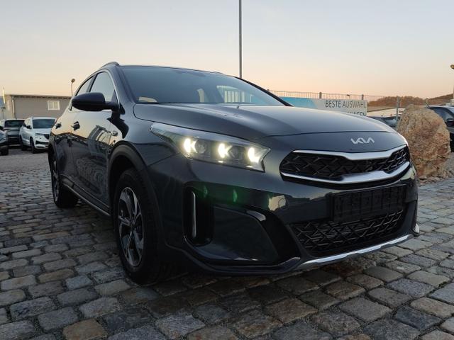 Kia / XCeed / Grau / / / 