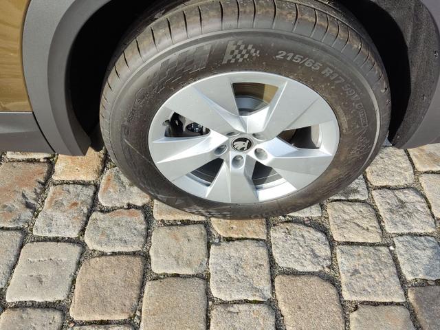 Skoda / Kodiaq / Bronze / / / 