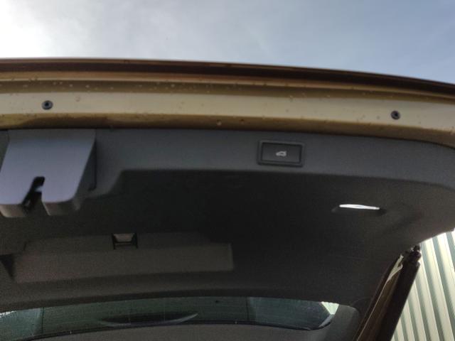 Skoda / Kodiaq / Bronze / / / 