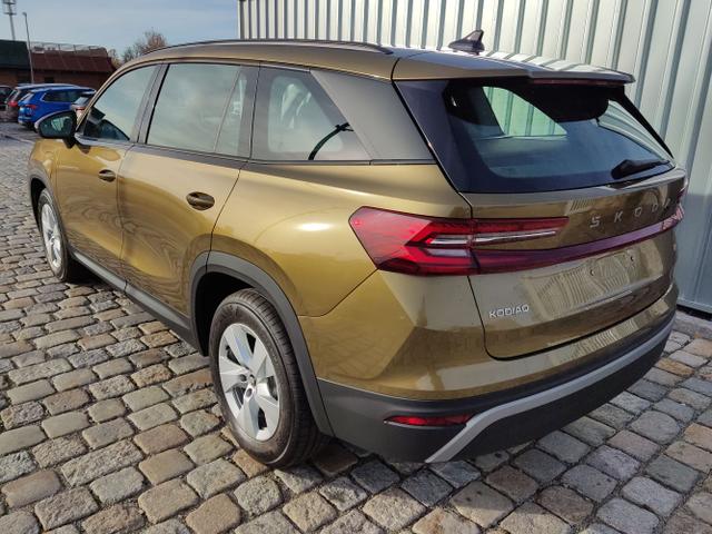 Skoda / Kodiaq / Bronze / / / 