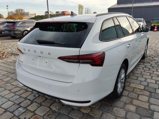 Skoda / Octavia Combi / Weiß / / / , Beispielbilder, ggf. teilweise mit Sonderausstattung