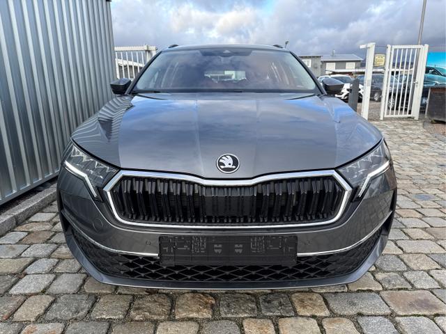 Skoda / Octavia Combi / Grau / / / , Beispielbilder