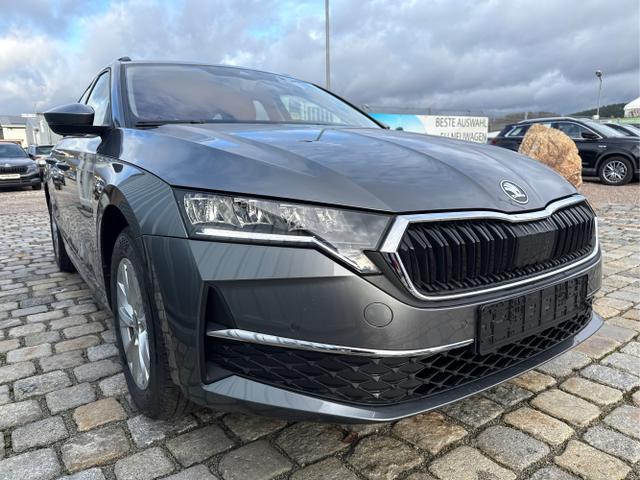 Skoda / Octavia Combi / Grau / / / , Beispielbilder, ggf. teilweise mit Sonderausstattung