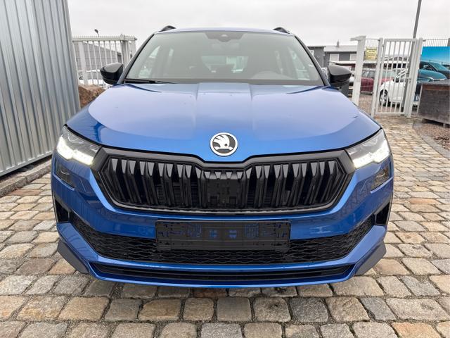 Skoda / Karoq / Blau / / / , Beispielbilder, ggf. teilweise mit Sonderausstattung