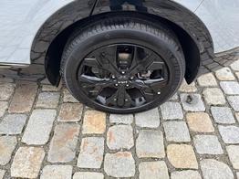 Kia Sportage Edice 30 1.6 T-GDI MHEV 160 PS 7DCT-Navi 12,3 Zoll-R&uuml;ckfahrkamera-4x SHZ-LED-19''Alu-Sofort 