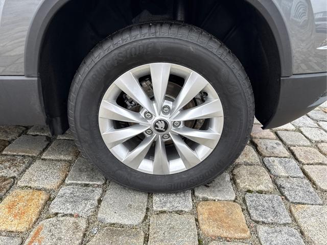 Skoda / Karoq / Grau / / / , Beispielbilder, ggf. teilweise mit Sonderausstattung