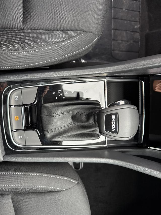 Skoda / Karoq / Grau / / / , Beispielbilder, ggf. teilweise mit Sonderausstattung