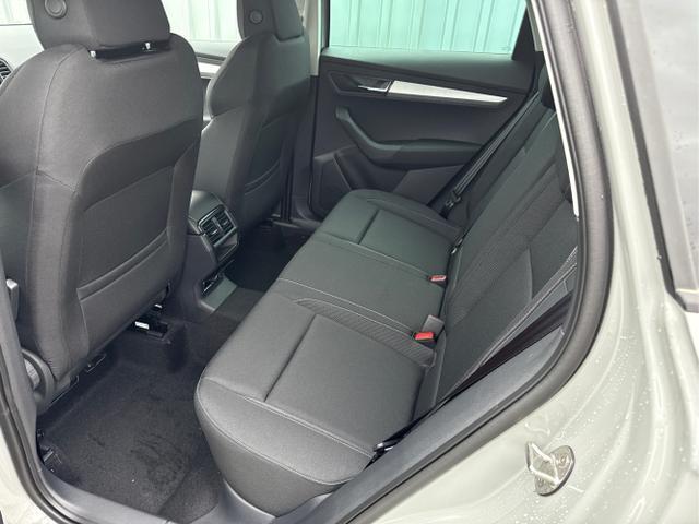 Skoda / Karoq / Grau / / / , Beispielbilder, ggf. teilweise mit Sonderausstattung