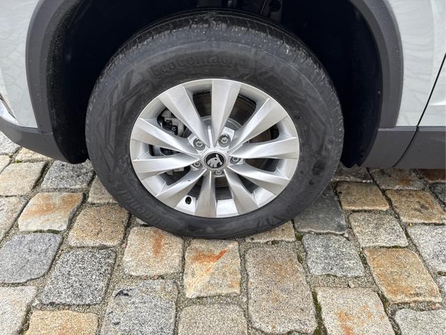 Skoda / Karoq / Grau / / / , Beispielbilder, ggf. teilweise mit Sonderausstattung