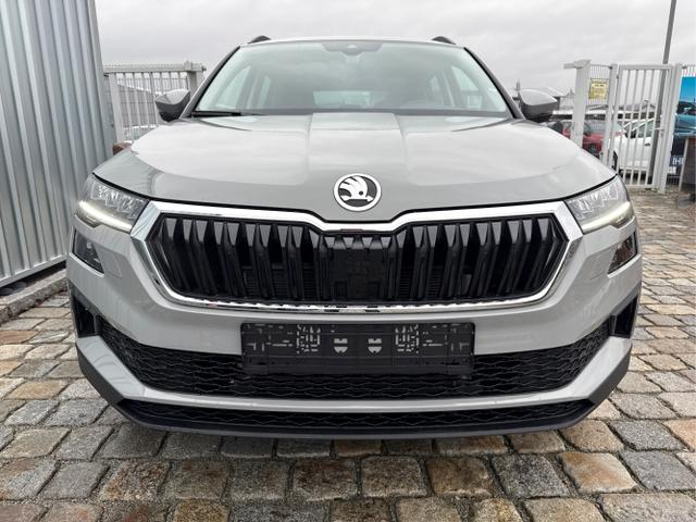 Skoda / Karoq / Grau / / / , Beispielbilder, ggf. teilweise mit Sonderausstattung