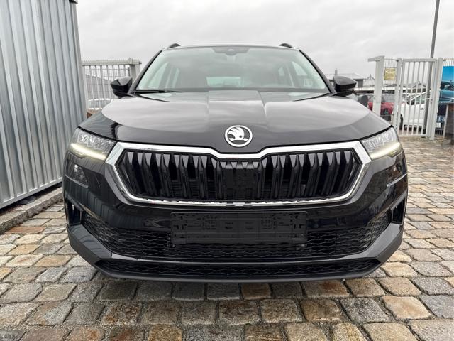 Skoda / Karoq / Schwarz / / / , Beispielbilder, ggf. teilweise mit Sonderausstattung