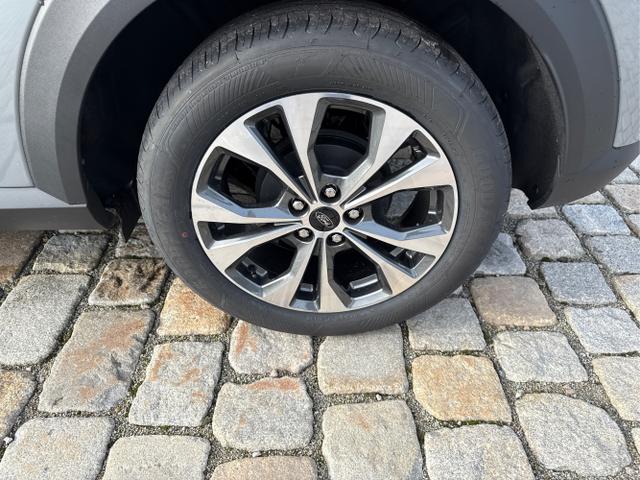 Ford / Puma / Grau / / / 