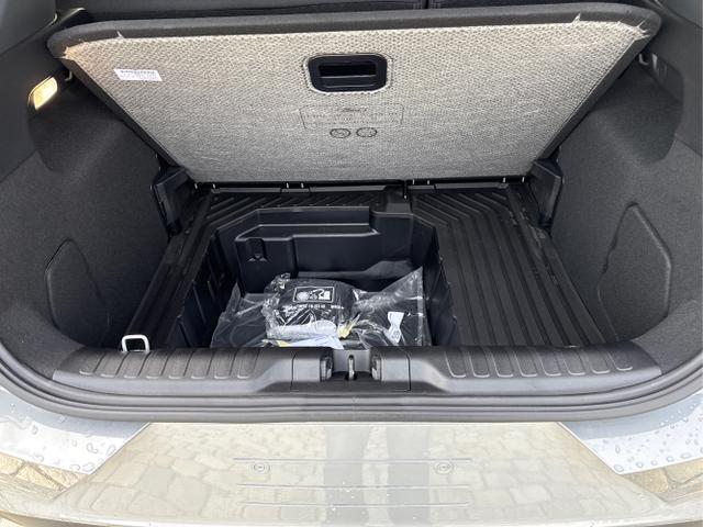 Ford / Puma / Grau / / / 