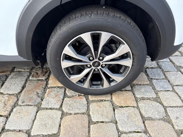 Ford / Puma / Weiß / / / 