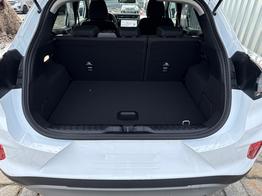 Ford Puma Titanium 1.0 Ecoboost 125 PS MHEV 6 Gang-Navi-R&uuml;ckfahrkamera-17" Alu-Winterpaket-Sofort 