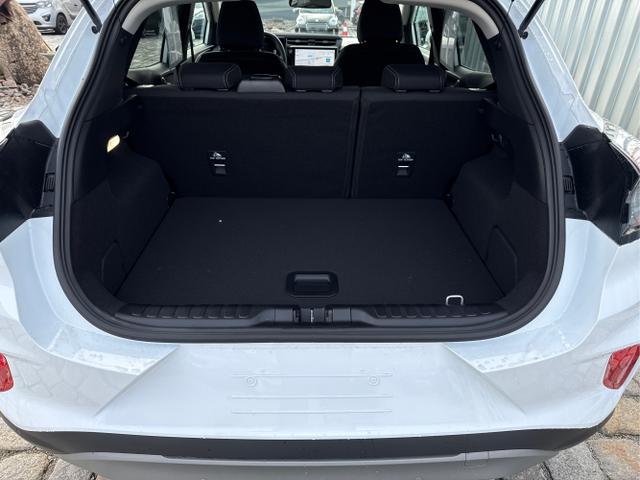 Ford / Puma / Weiß / / / 