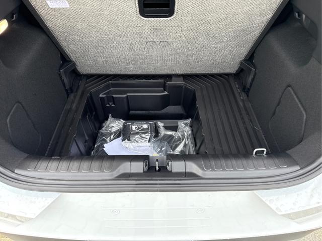 Ford / Puma / Weiß / / / 