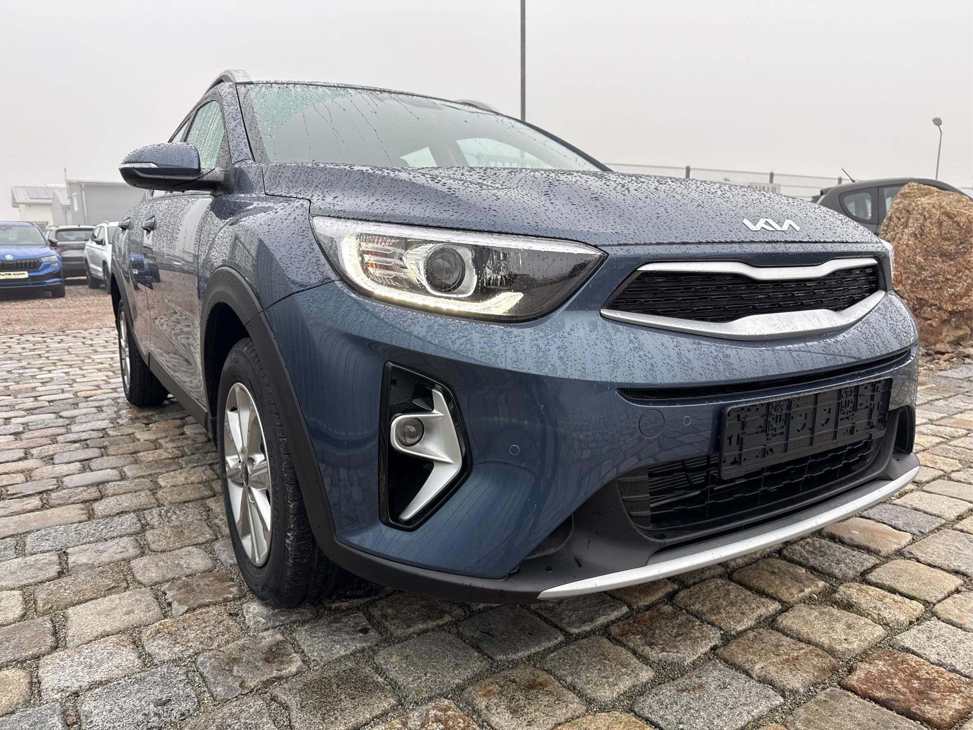 Kia / Stonic / Blau /  /  / 