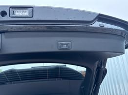 Cupra Terramar Impulse 1,5 eTSI 150 PS DSG-Navi-Head up Display-Intelligent Park Assist-Sofort 