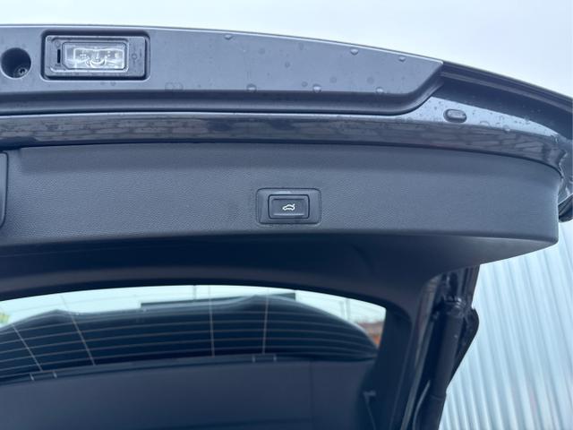 Cupra / Terramar / Grau / / / 