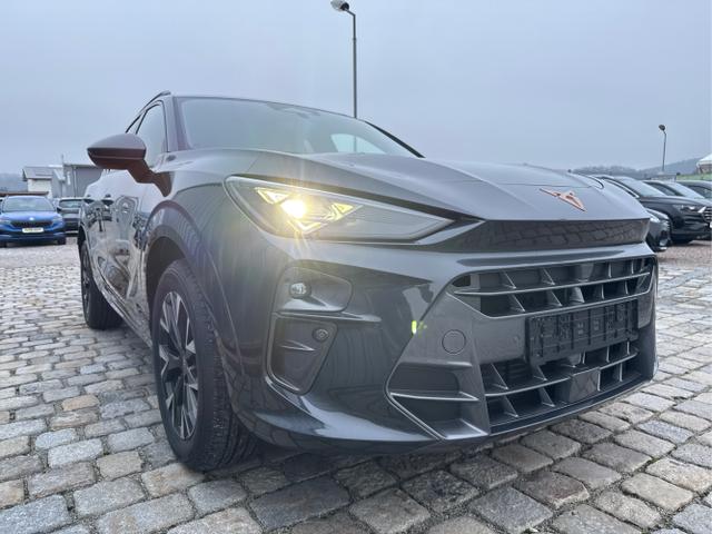 Cupra / Terramar / Grau / / / 