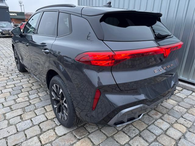 Cupra / Terramar / Grau / / / 