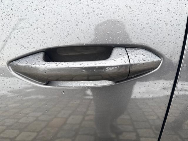 Skoda / Kodiaq / / / / , Beispielbilder