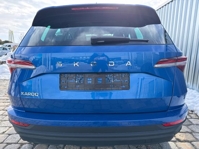 Skoda / Karoq / Blau / / / 