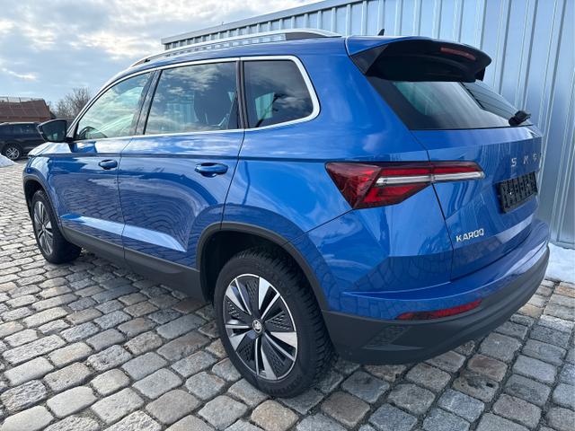 Skoda / Karoq / Blau / / / 