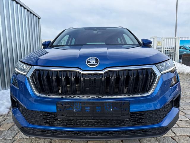 Skoda / Karoq / Blau / / / 