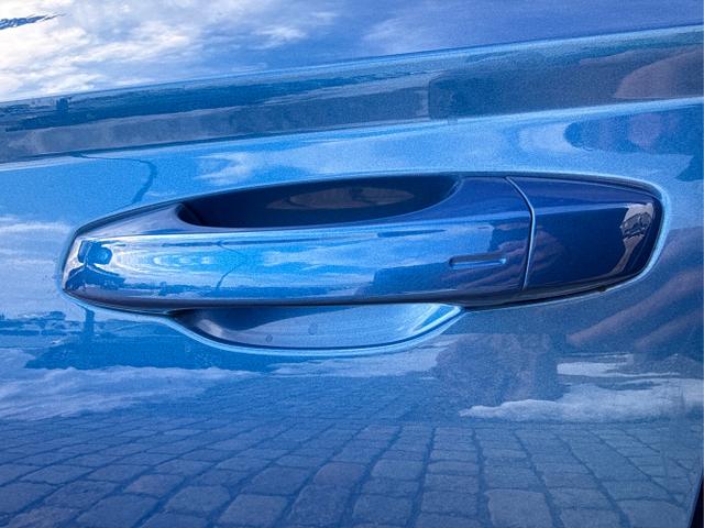 Skoda / Karoq / Blau / / / 