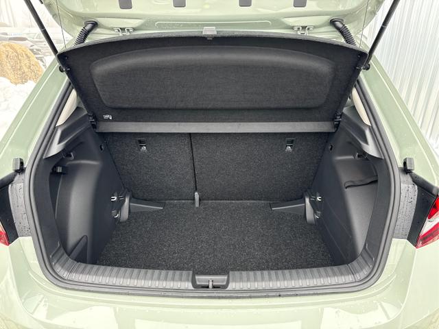 Skoda / Fabia / Gr&uuml;n / / / , Beispielbilder, ggf. teilweise mit Sonderausstattung