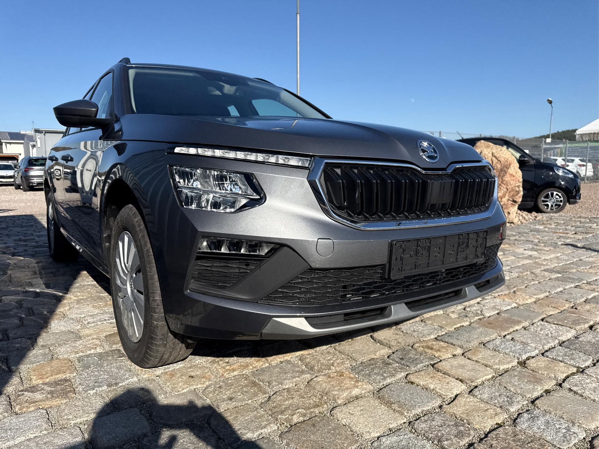 Skoda / Kamiq / Grau /  /  / 