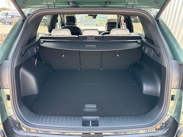 Kia / Sportage / Gr&uuml;n / / / , Beispielbilder, ggf. teilweise mit Sonderausstattung