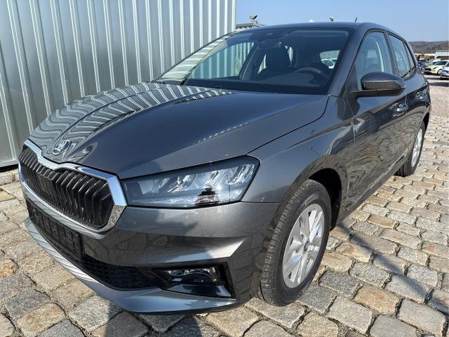 Skoda Fabia - Sondermodell 130 Jahre Selection Plus 1.0 TSI 85kW/116 PS -DSG-AppleCarPlay-AndroidAuto-LED-PDC-Kamera-Winterpaket-Sitzheizung-DAB-Klima-Tempomat-ALU 15"-Sofort verf&uuml;gbar