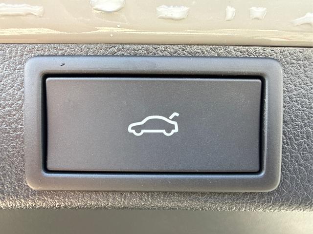 Skoda / Octavia Combi / Grau / / / , Beispielbilder, ggf. teilweise mit Sonderausstattung