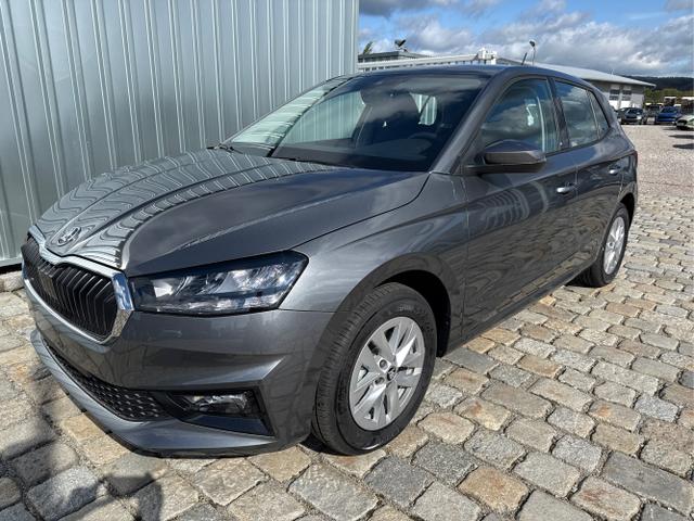 Skoda Fabia - Sondermodell 130 Jahre Selection Plus 1.0 TSI 85kW/116 PS -DSG-AppleCarPlay-AndroidAuto-Winterpaket-LED-PDC-Kamera- Sitzheizung-DAB-Klima-Tempomat-ALU 15"-Sofort verf&uuml;gbar