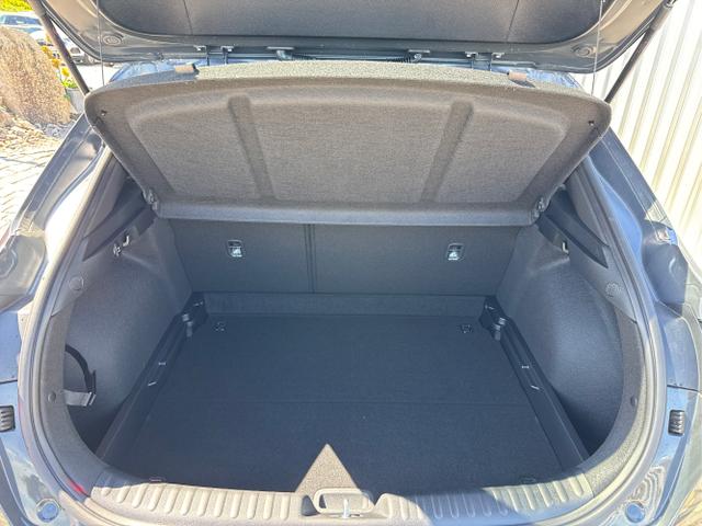Kia / XCeed / Grau / / / , Beispielbilder, ggf. teilweise mit Sonderausstattung