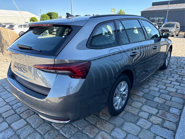 Skoda / Octavia Combi / Grau / / / , Beispielbilder, ggf. teilweise mit Sonderausstattung