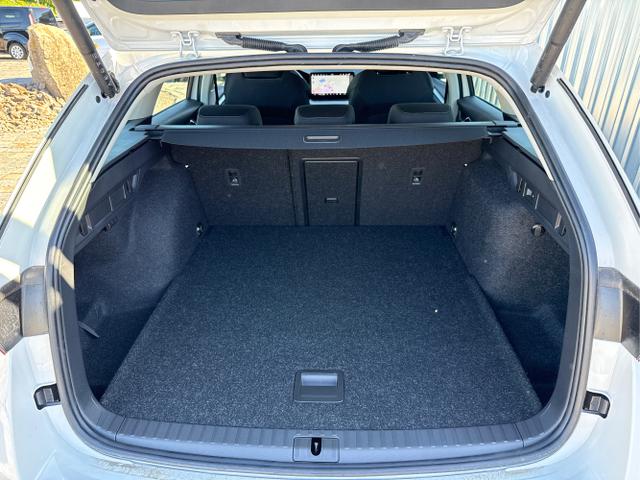 Skoda / Octavia Combi / Wei&szlig; / / / , Beispielbilder, ggf. teilweise mit Sonderausstattung