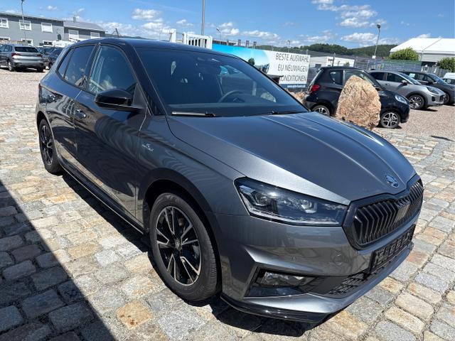 Skoda / Fabia / Grau / / / 