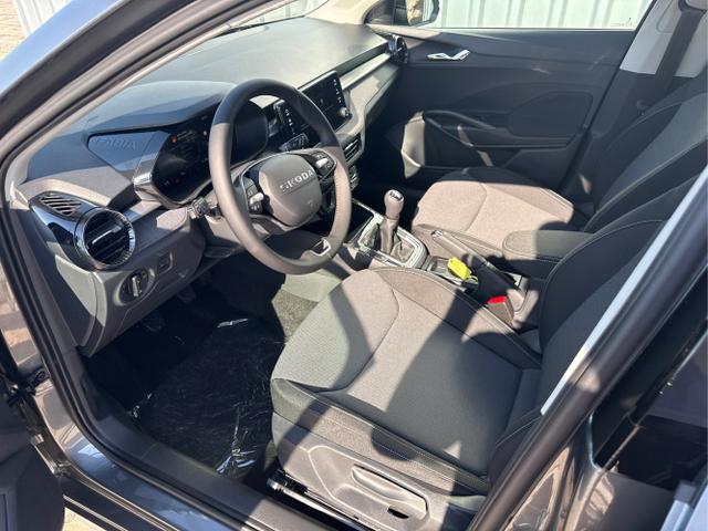Skoda / Fabia / Grau / / / , Beispielbilder, ggf. teilweise mit Sonderausstattung