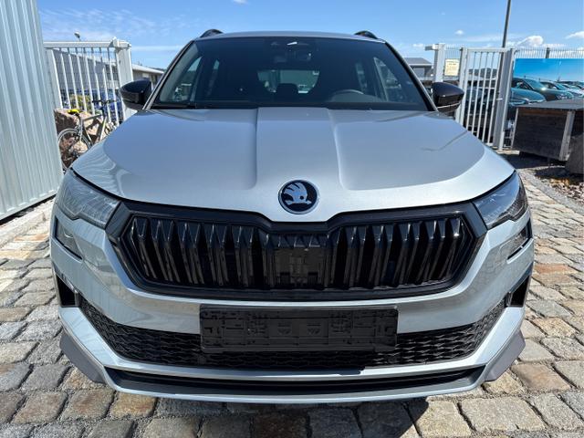Skoda / Karoq / Grau / / / , Beispielbilder, ggf. teilweise mit Sonderausstattung