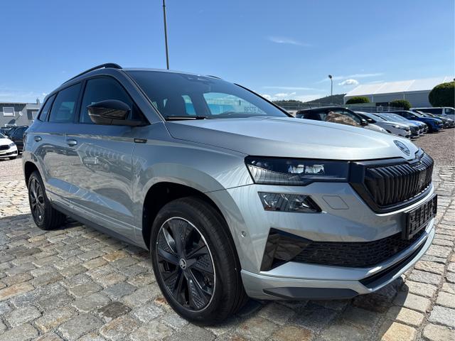 Skoda / Karoq / Grau / / / , Beispielbilder, ggf. teilweise mit Sonderausstattung