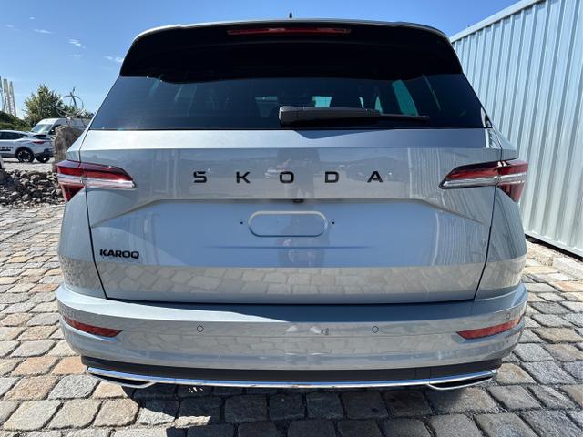 Skoda / Karoq / Grau / / / , Beispielbilder, ggf. teilweise mit Sonderausstattung